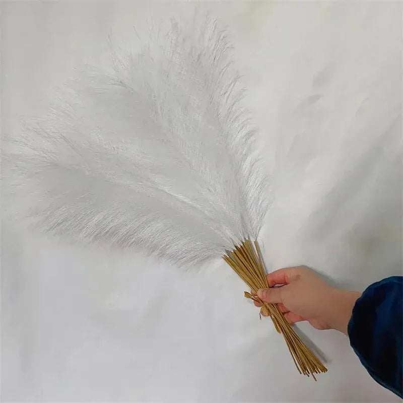 Herbe de Pampas