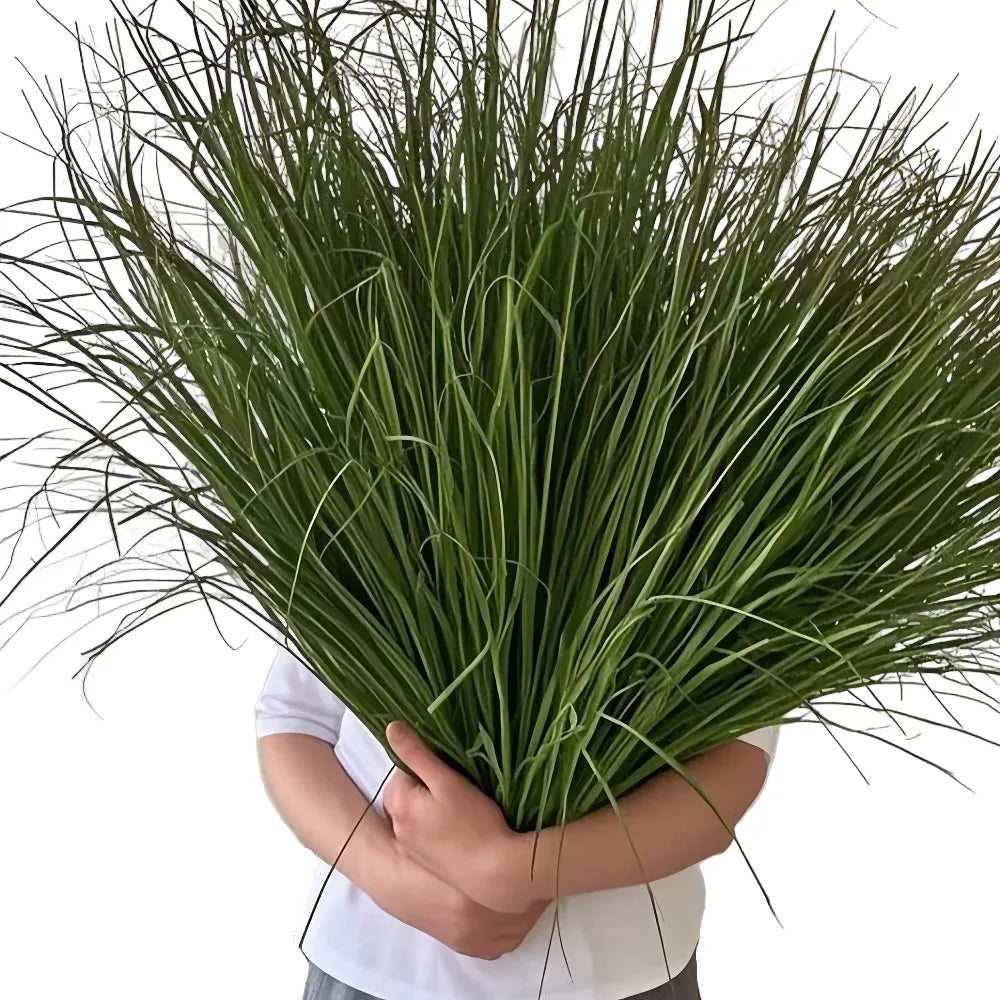 Grande Herbe Artificielle