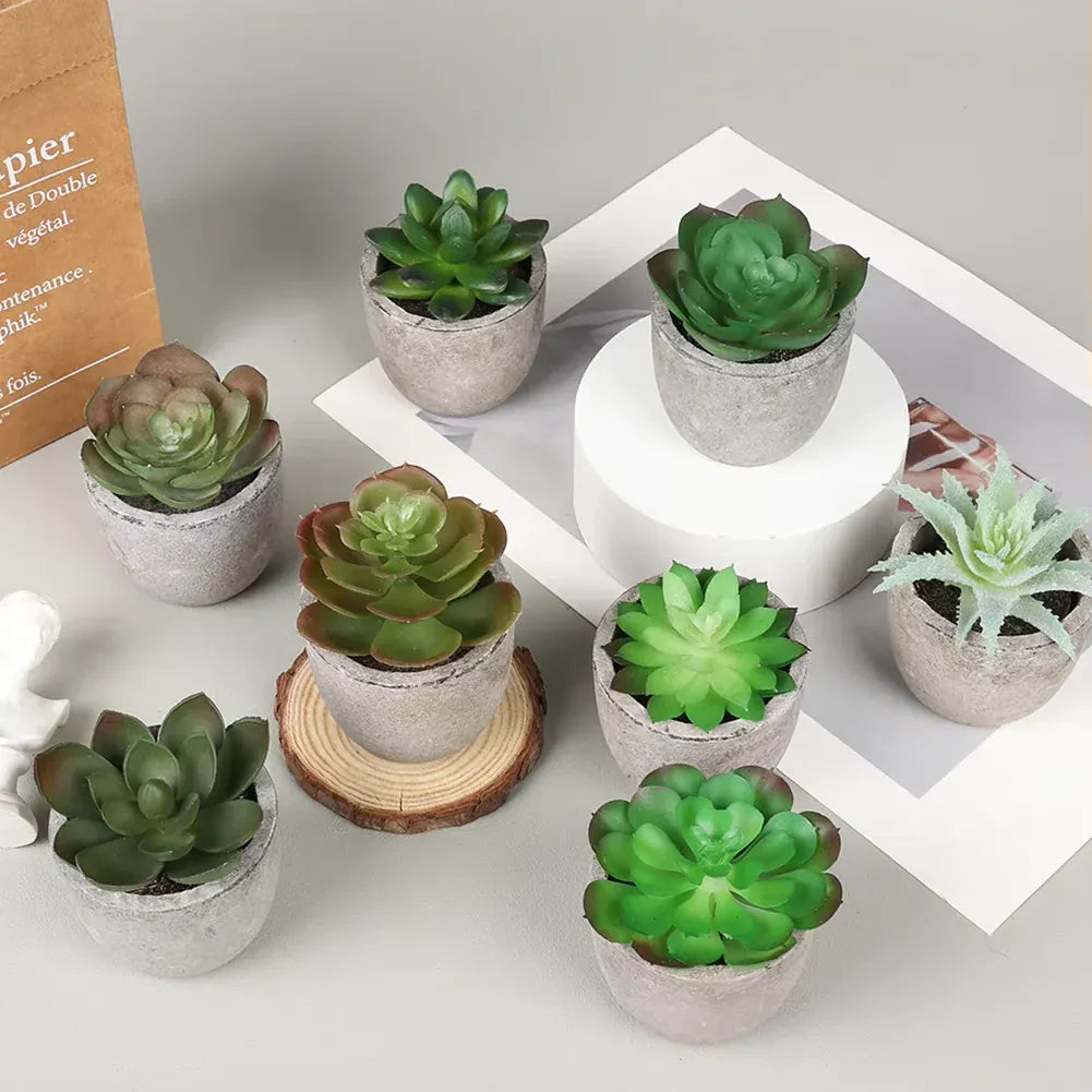 Lot de 4 plantes succulentes artificielles