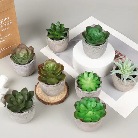Lot de 4 plantes succulentes artificielles