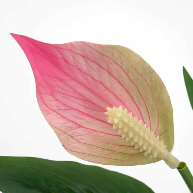 Monstera Artificiel en Fleur