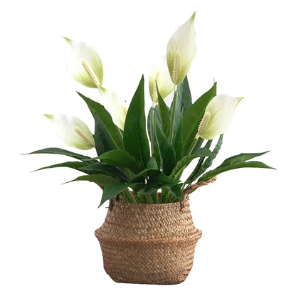 Monstera Artificiel en Fleur