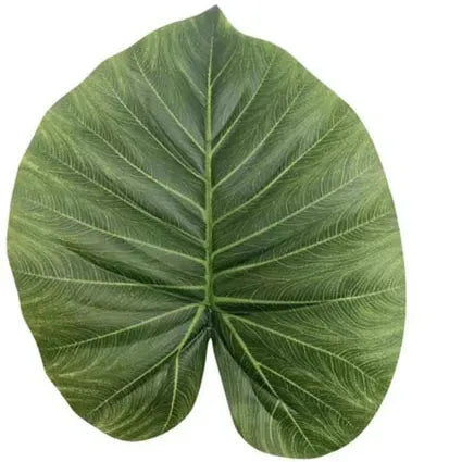 Monstera artificielle