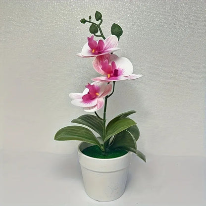 Orchidées Artificielles