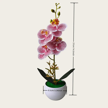 Orchidées Artificielles XXL