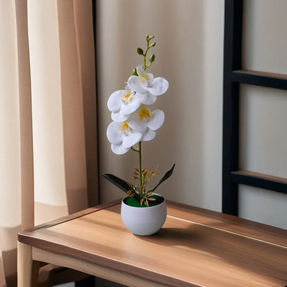 Orchidées Artificielles XXL