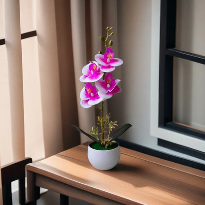 Orchidées Artificielles XXL