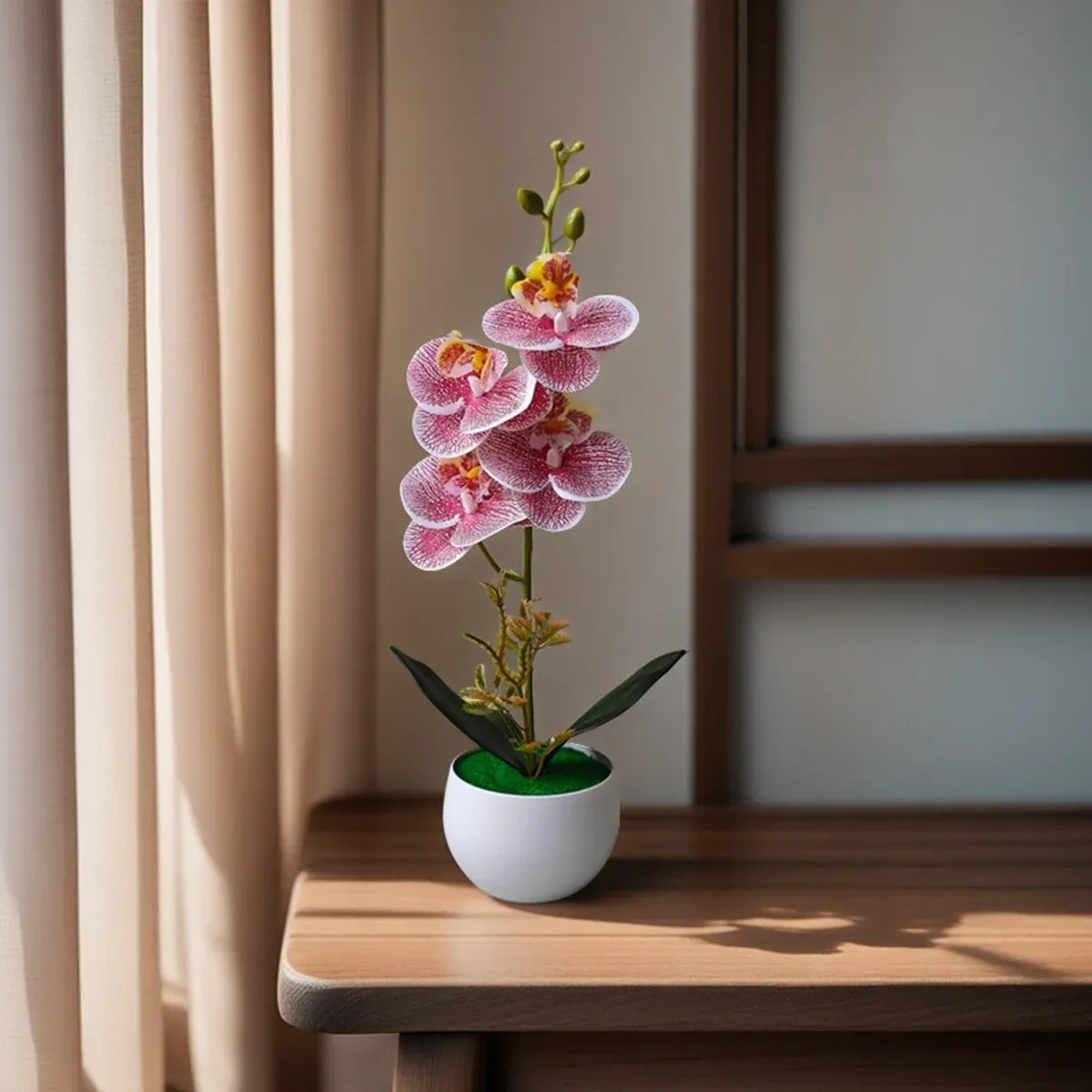 Orchidées Artificielles XXL