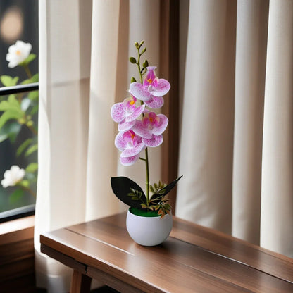 Orchidées Artificielles XXL