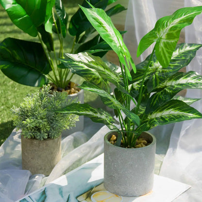 Plante artificielle Extérieur