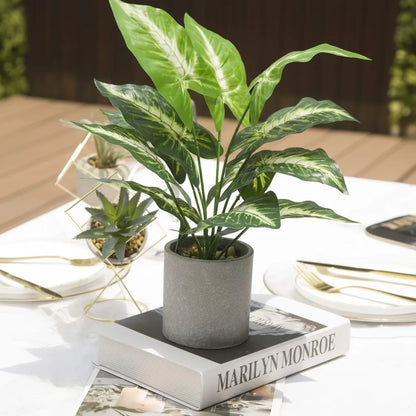 Plante artificielle Extérieur