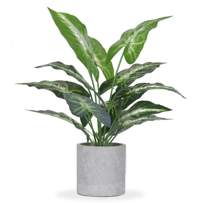 Plante artificielle Extérieur