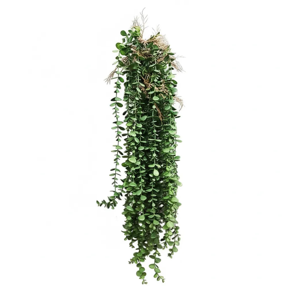Plante d'Eucalyptus Artificiel retombante