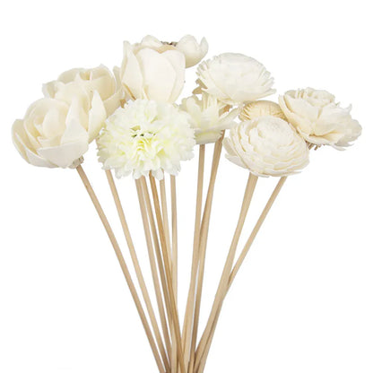 Roses à tige de bois