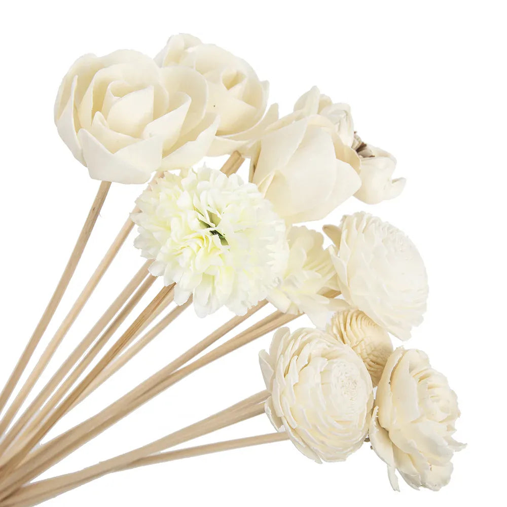 Roses à tige de bois