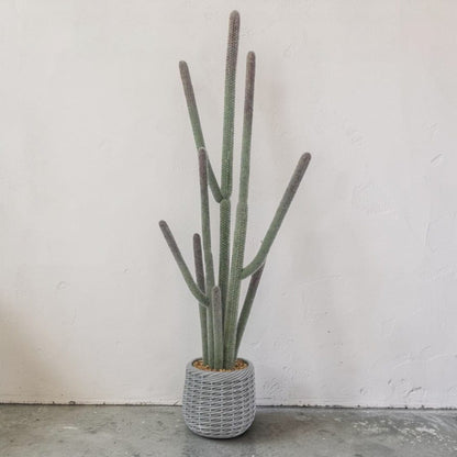 Saguaro Cactus Artificiel