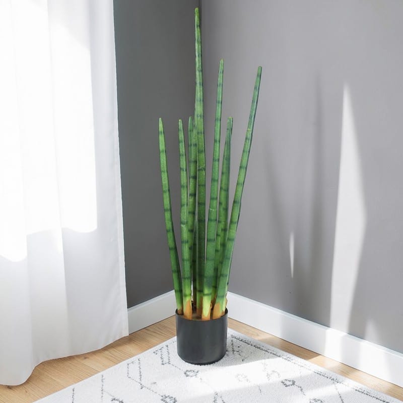 Sansevieria Cactus Artificiel