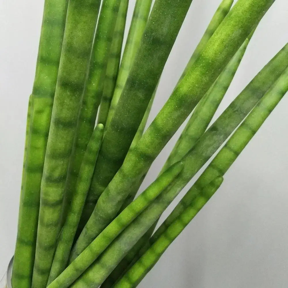 Sansevieria Cactus Artificiel