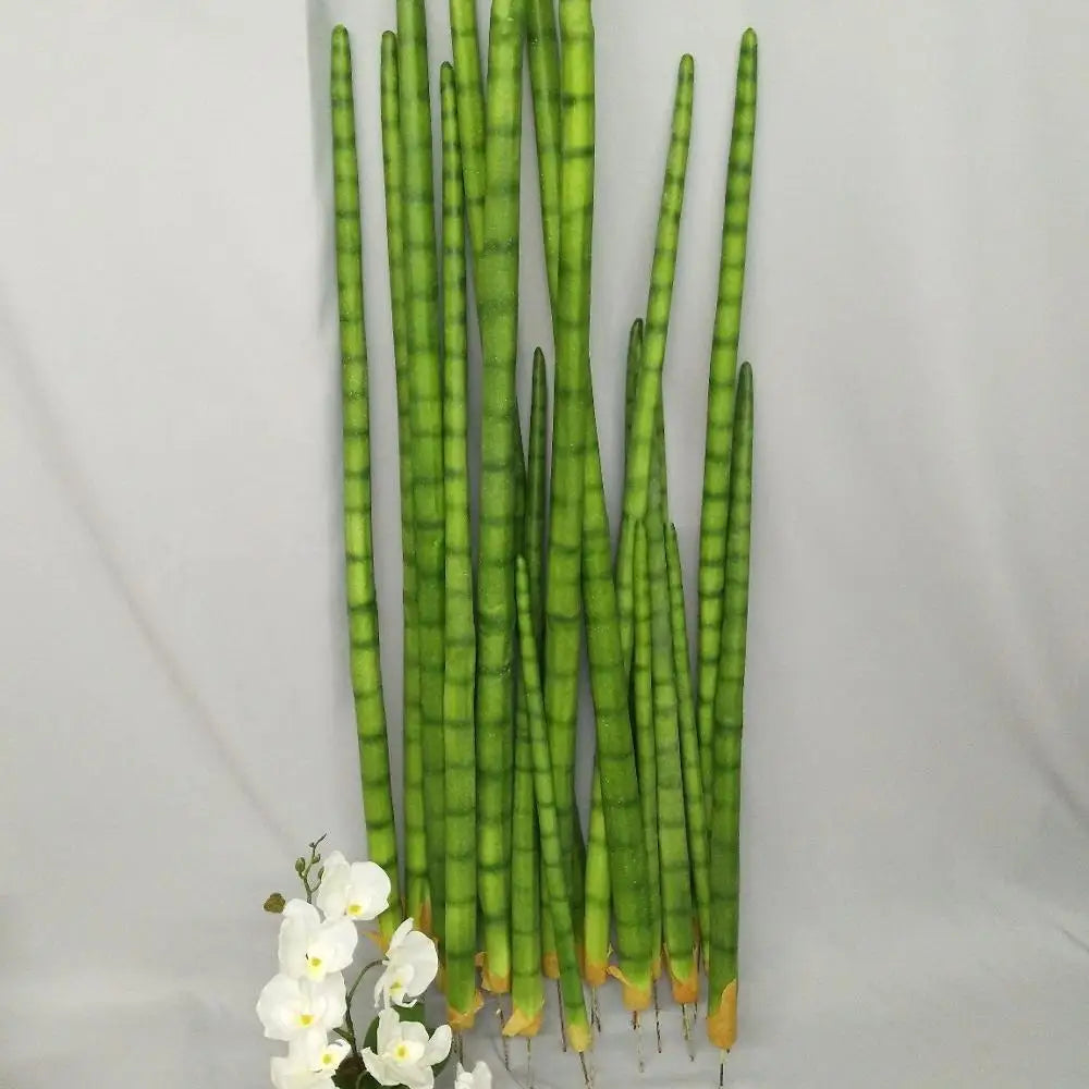 Sansevieria Cactus Artificiel