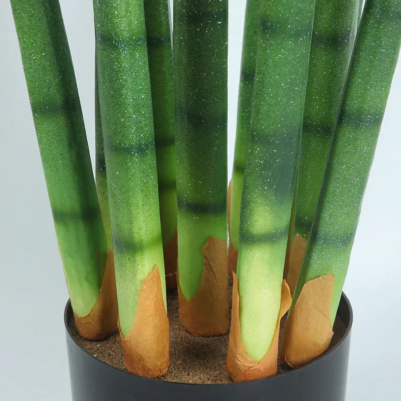 Sansevieria Cactus Artificiel