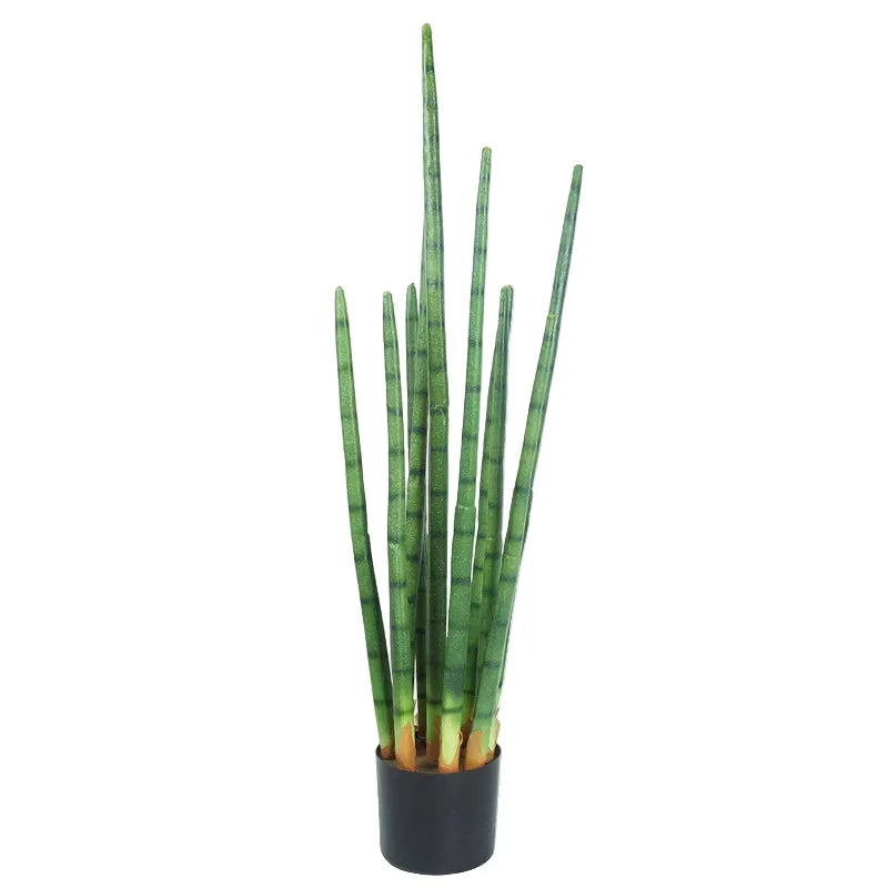 Sansevieria Cactus Artificiel