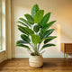 Strelitzia Artificiel