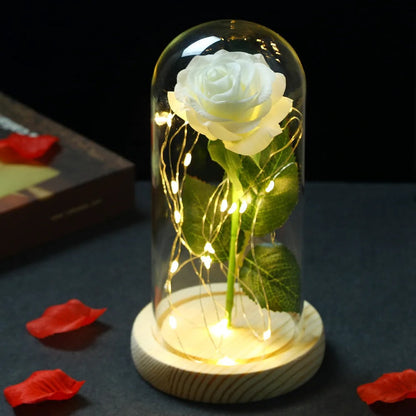 Rose Éternelle sous Cloche