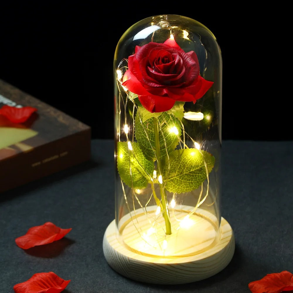 Rose Éternelle sous Cloche