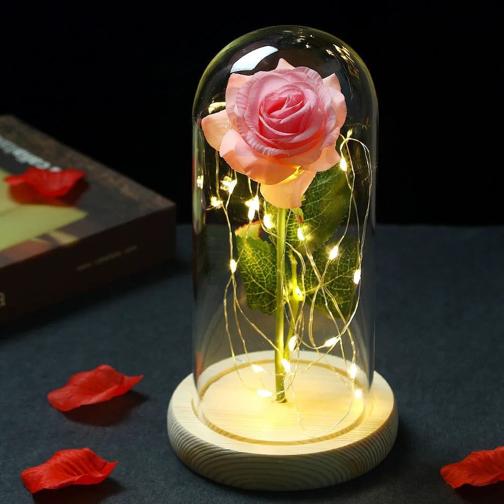 Rose Éternelle sous Cloche