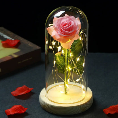 Rose Éternelle sous Cloche